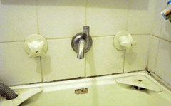 Quoss Cobra (Flexible Spout)